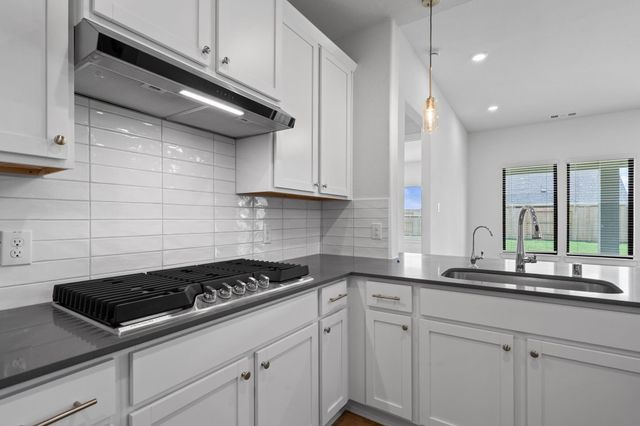 116 Black Hickory Drive, Waller, TX 77484