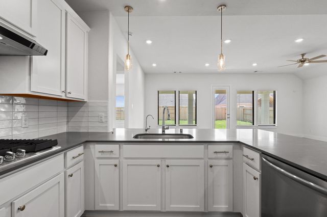 116 Black Hickory Drive, Waller, TX 77484