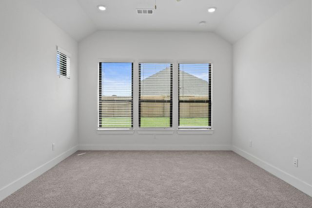 116 Black Hickory Drive, Waller, TX 77484