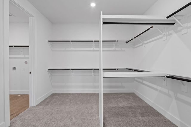 116 Black Hickory Drive, Waller, TX 77484