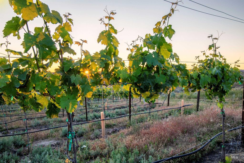 5446 N Highway 16, Eagle, ID 83616 photo 47