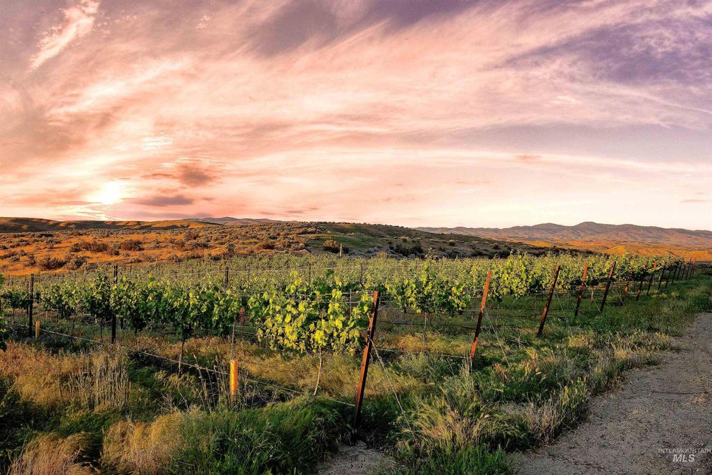 5446 N Highway 16, Eagle, ID 83616 photo 49