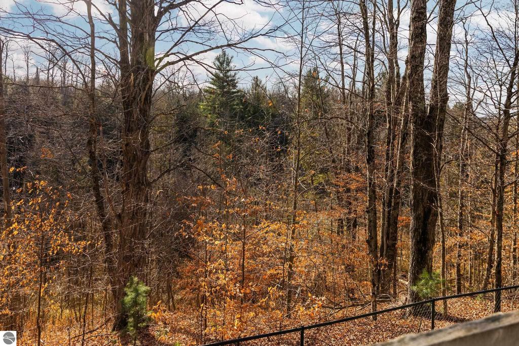 Image 49 of property listing at 15445 Holly Drive, Thompsonville, MI 49683