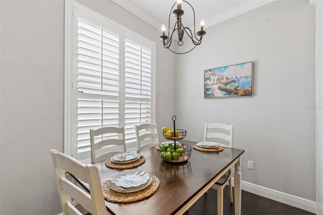 4910 SKY BLUE DRIVE, Lutz, FL 33558