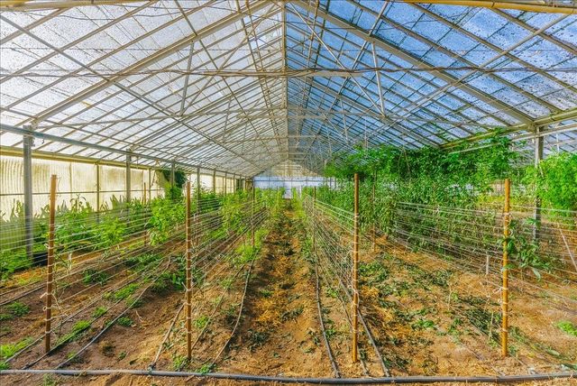 371 Calabasas Road, Watsonville, CA 95076