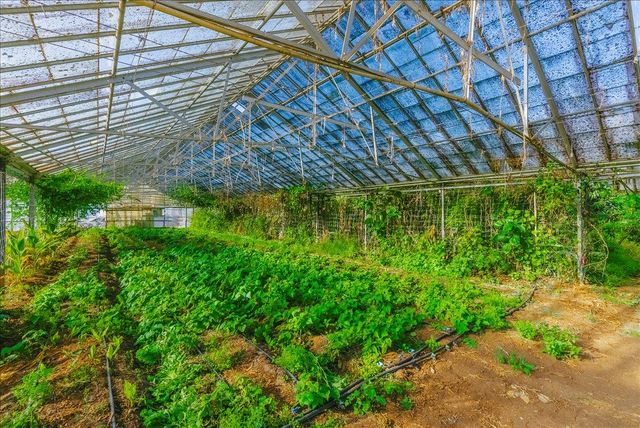 371 Calabasas Road, Watsonville, CA 95076