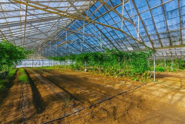 371 Calabasas Road, Watsonville, CA 95076