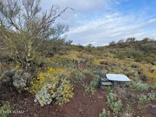 11409A E Calle Catalina, Tucson, AZ 85748