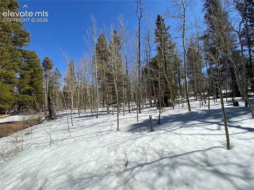 2202 High Creek Road, Fairplay, CO 80440 — exterior
