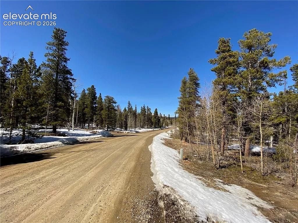2202 High Creek Road, Fairplay, CO 80440 — photo 2