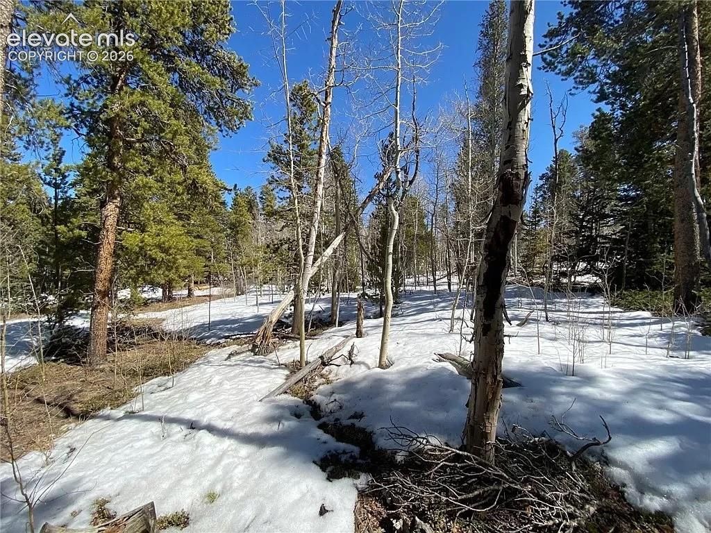 2202 High Creek Road, Fairplay, CO 80440 — photo 3
