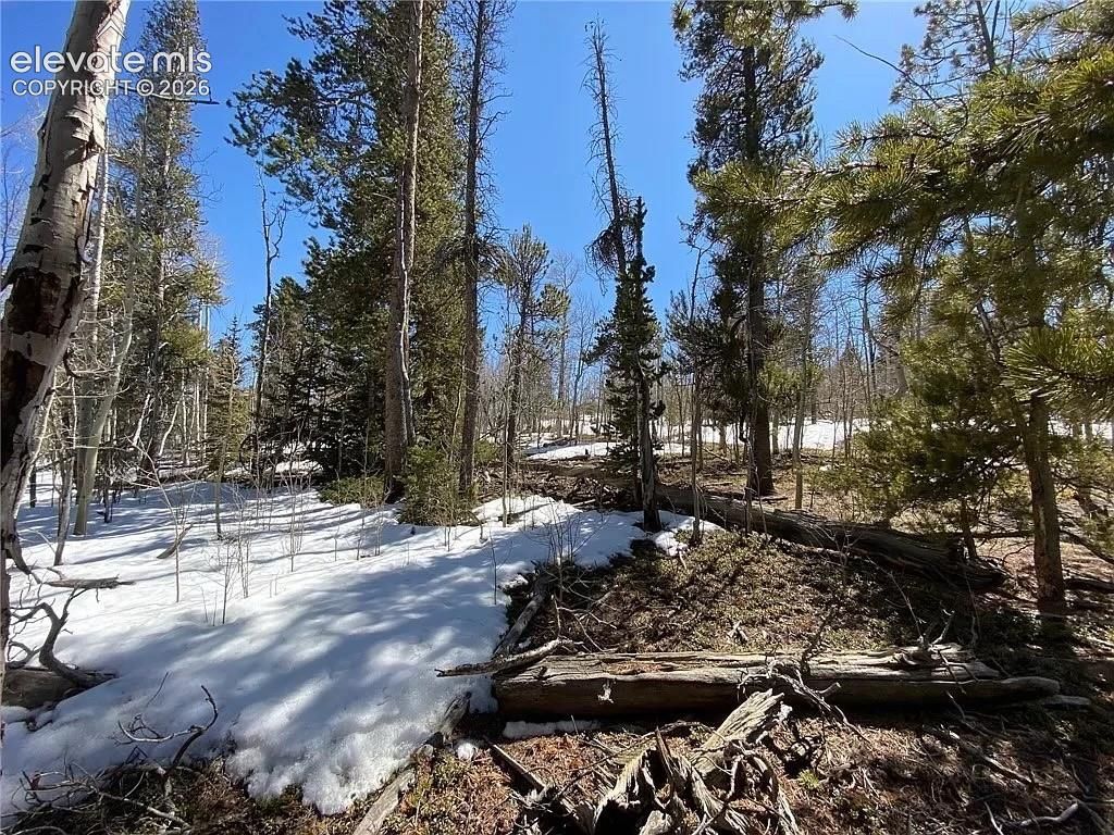 2202 High Creek Road, Fairplay, CO 80440 — photo 4