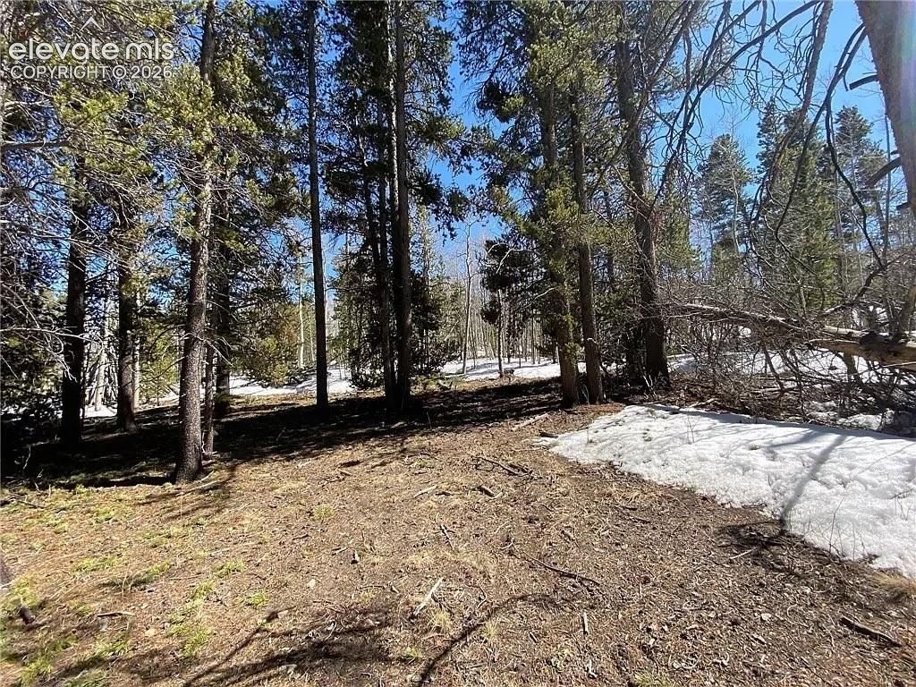 2202 High Creek Road, Fairplay, CO 80440 — photo 5