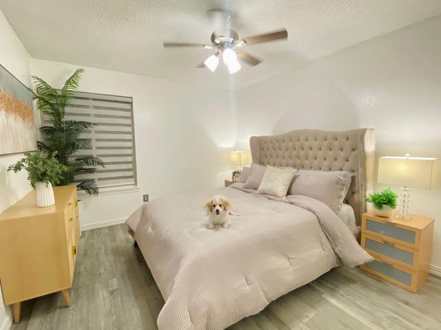 14151 Montfort Drive 341, Dallas, TX 75254