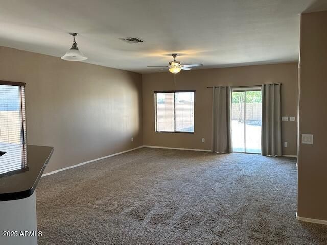 11815 W Daley Court, Sun City, AZ 85373