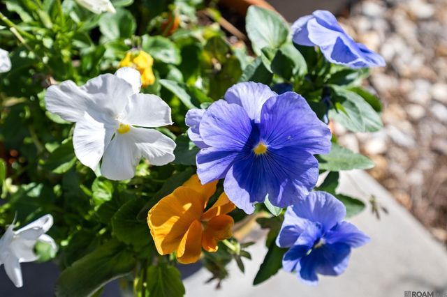 832 Marlstone Dr, Baton Rouge, LA 70810