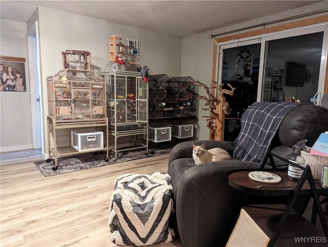 170 Creek Road, Elma, NY 14052