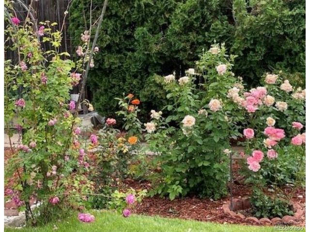 4216 Ammons St, Wheat Ridge, CO 80033