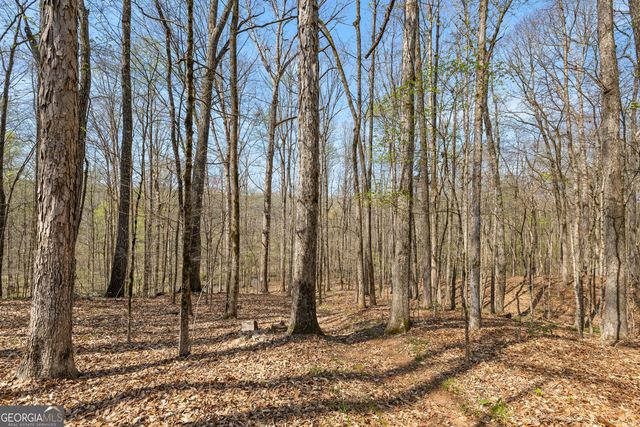 375 Woodcreek Lane, Fayetteville, GA 30215