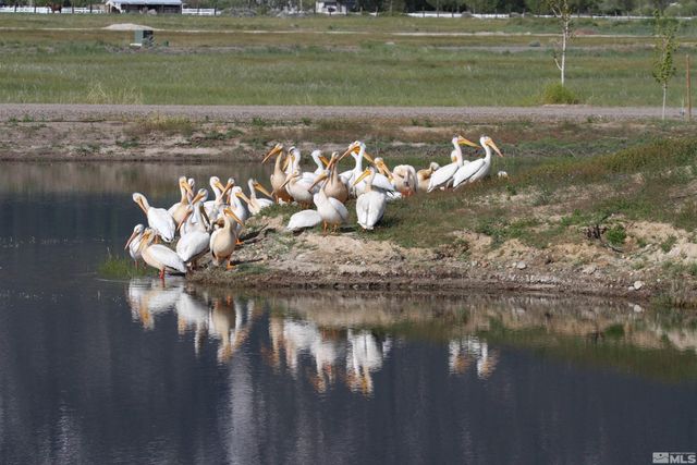 615 W Fork Vista Lane, Gardnerville, NV 89460