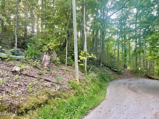Lot 3 Carter Plaza, Gatlinburg, TN 37738