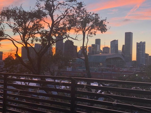 2412 Canal Street L, Houston, TX 77003