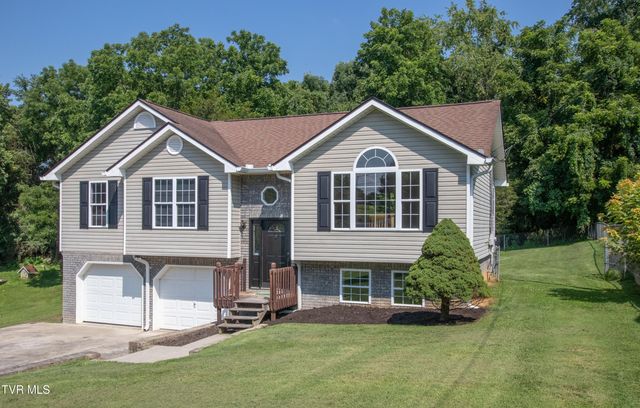 226 Post Oak Drive, Kingsport, TN 37663