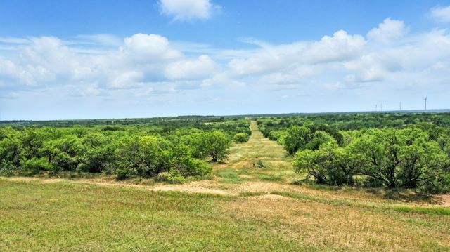 Tract 5 State Highway 6, Moran, TX 76464