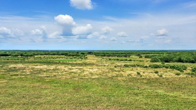 Tract 5 State Highway 6, Moran, TX 76464