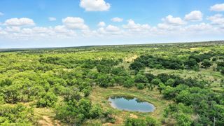 Tract 5 State Highway 6, Moran, TX 76464