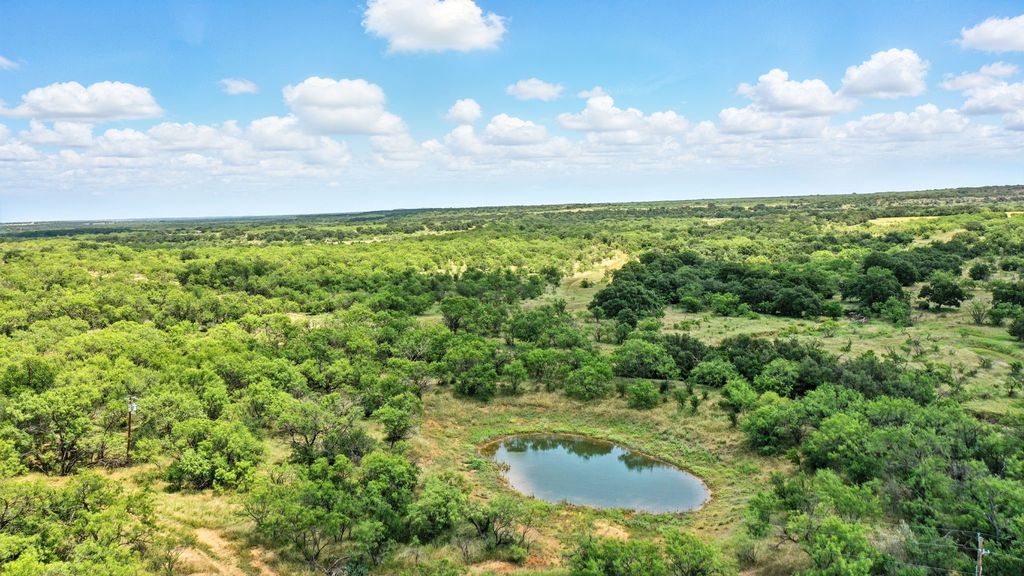 Tract 5 State Highway 6, Moran, TX 76464