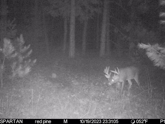 72000 E 46th Road, Cadillac, MI 49601