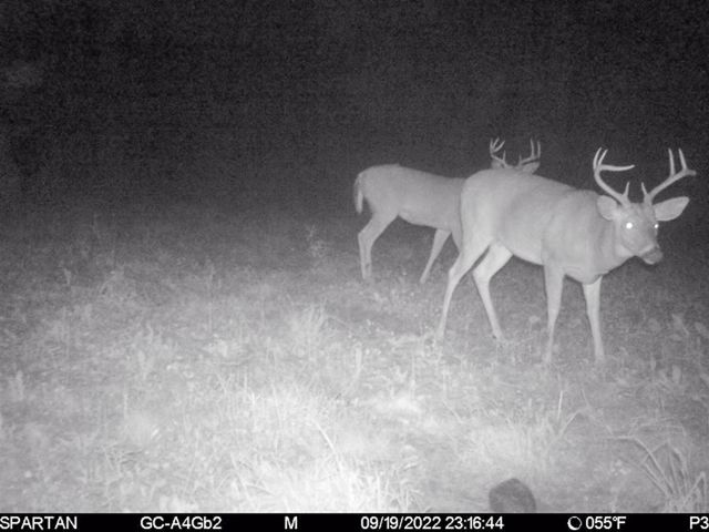 72000 E 46th Road, Cadillac, MI 49601