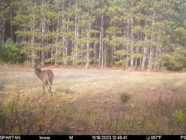 72000 E 46th Road, Cadillac, MI 49601