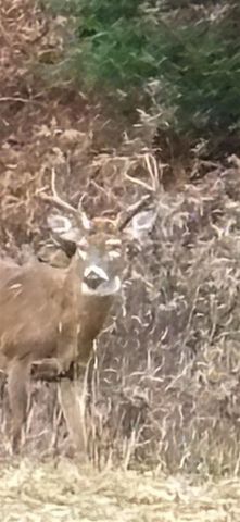 72000 E 46th Road, Cadillac, MI 49601