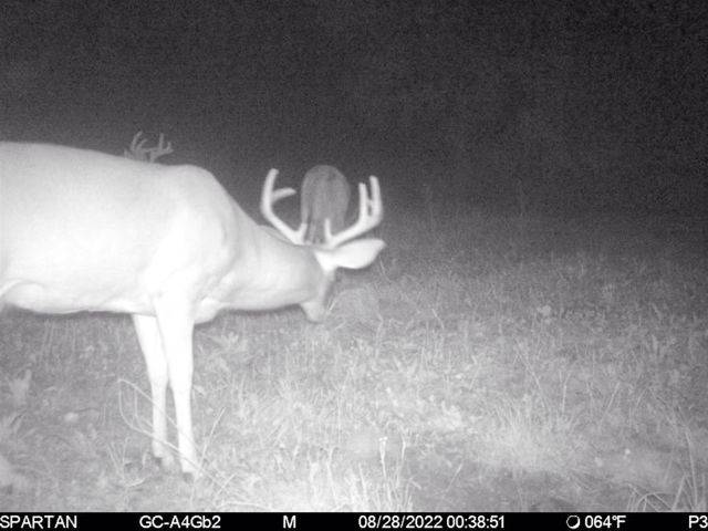 72000 E 46th Road, Cadillac, MI 49601