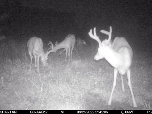 72000 E 46th Road, Cadillac, MI 49601