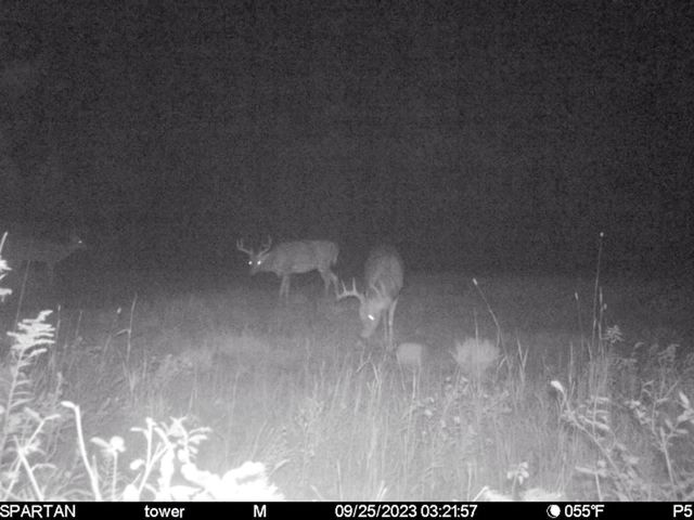 72000 E 46th Road, Cadillac, MI 49601