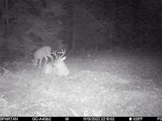 72000 E 46th Road, Cadillac, MI 49601