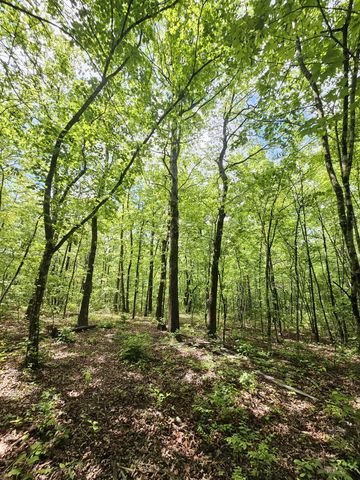 488 Hunters Trail Way, Altamont, TN 37301