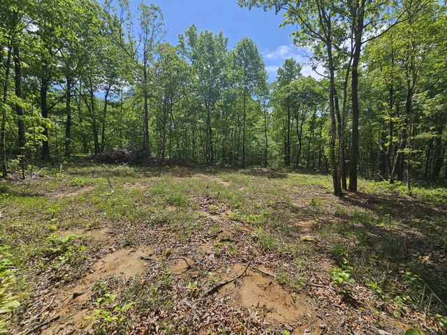 488 Hunters Trail Way, Altamont, TN 37301