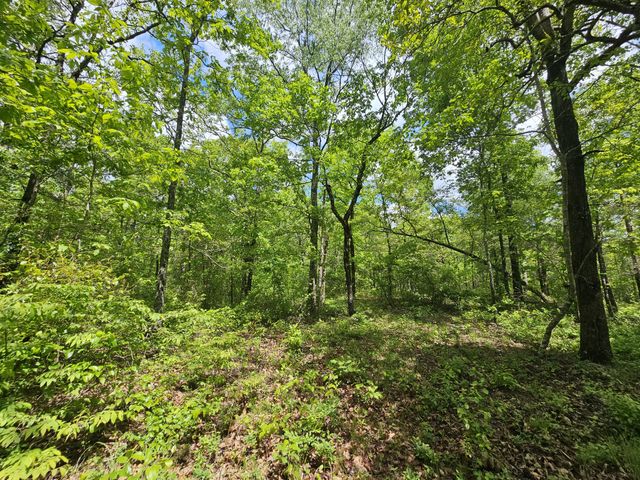 488 Hunters Trail Way, Altamont, TN 37301