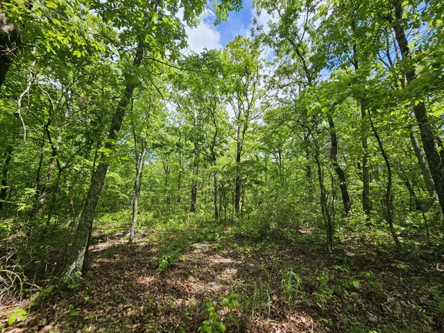 488 Hunters Trail Way, Altamont, TN 37301