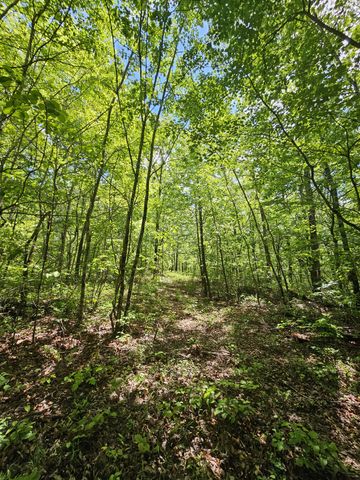 488 Hunters Trail Way, Altamont, TN 37301