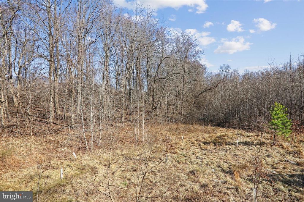 Image 54 of property listing at 1910 LAKE FOREST DR, Upper Marlboro, MD 20774