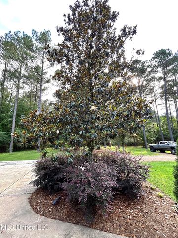 6520 Pleasant Grove Road, Carthage, MS 39051