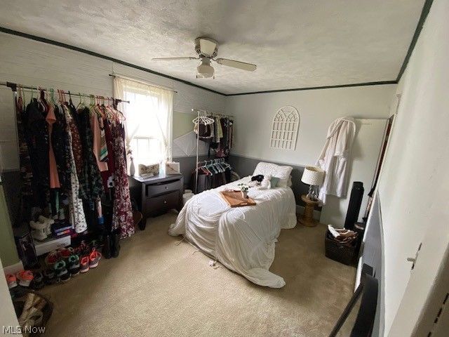 810 Daniels Street, Toronto, OH 43964