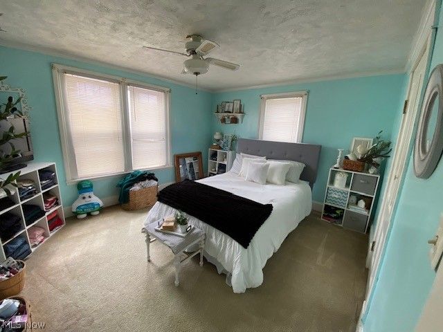 810 Daniels Street, Toronto, OH 43964