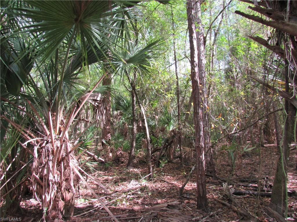 1130 Debbie LN, LABELLE, FL 33935 — photo 4