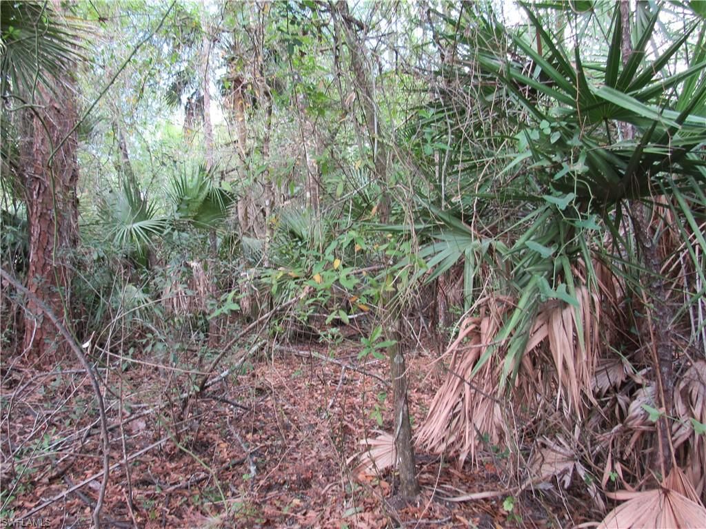 1130 Debbie LN, LABELLE, FL 33935 — photo 5